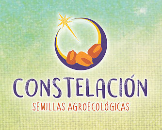logo_constelación logo_constelación