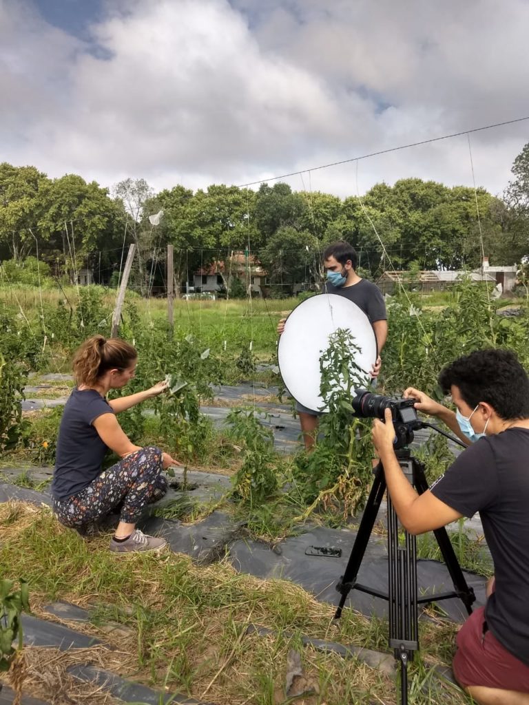 Bioleft's webinar series begins with tomatoes