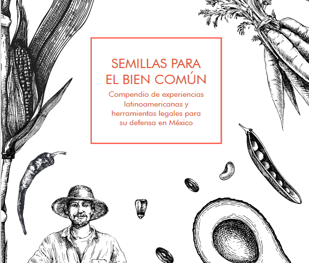 Seed as a commons: latin american experiences