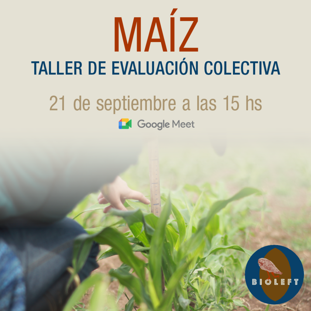 2021-2022 Collective Corn Evaluation Workshop