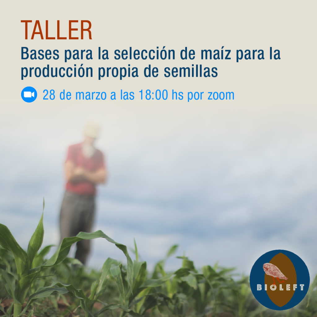 Invitación taller: Bases para selección de maíz para la producción propia de semillas