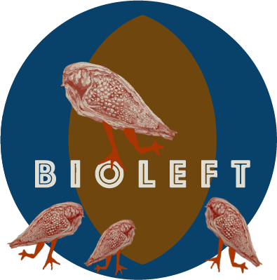 Nuevas compañeras en Bioleft