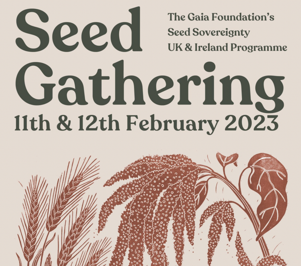 The Gaia Foundation's Seed Gathering 2023