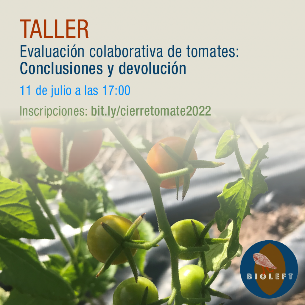 Taller de cierre de campaña 2022-23 de evaluación colaborativa de tomates