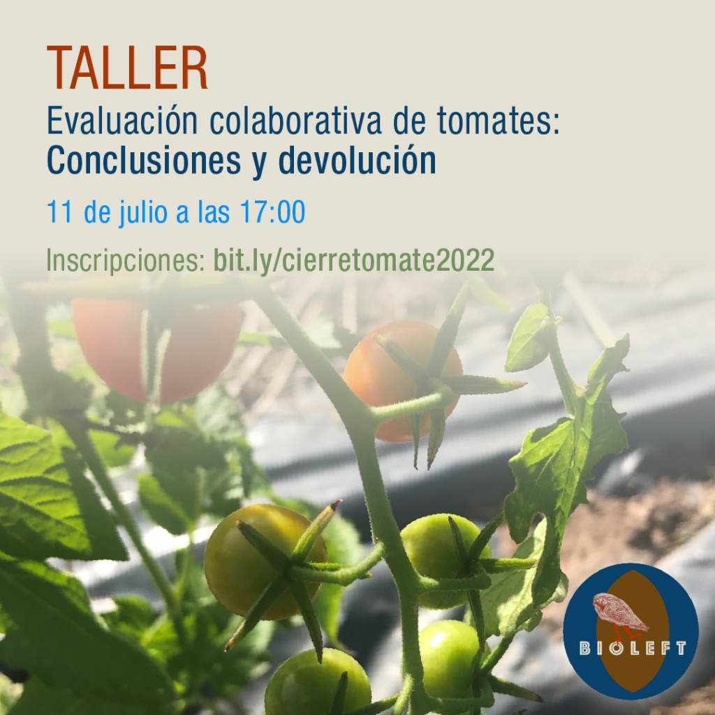 2022-23 campaign closing workshop for collaborative evaluation of tomatoes