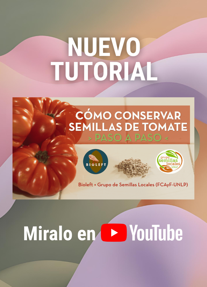 NUEVO TUTORIAL