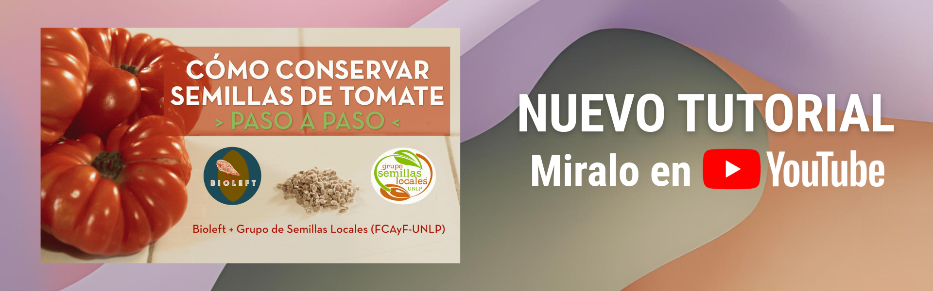 tutorial conservacion de semillas de bioleft