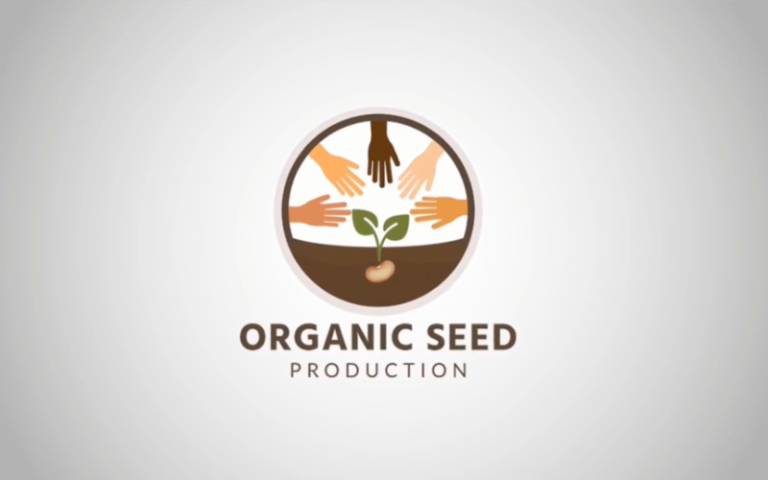 Almendra Cremaschi dio un seminario para el Organic Seed Alliance
