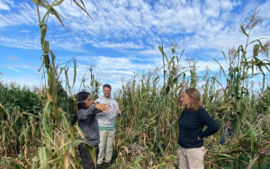 web (800 x 500 px)(17)