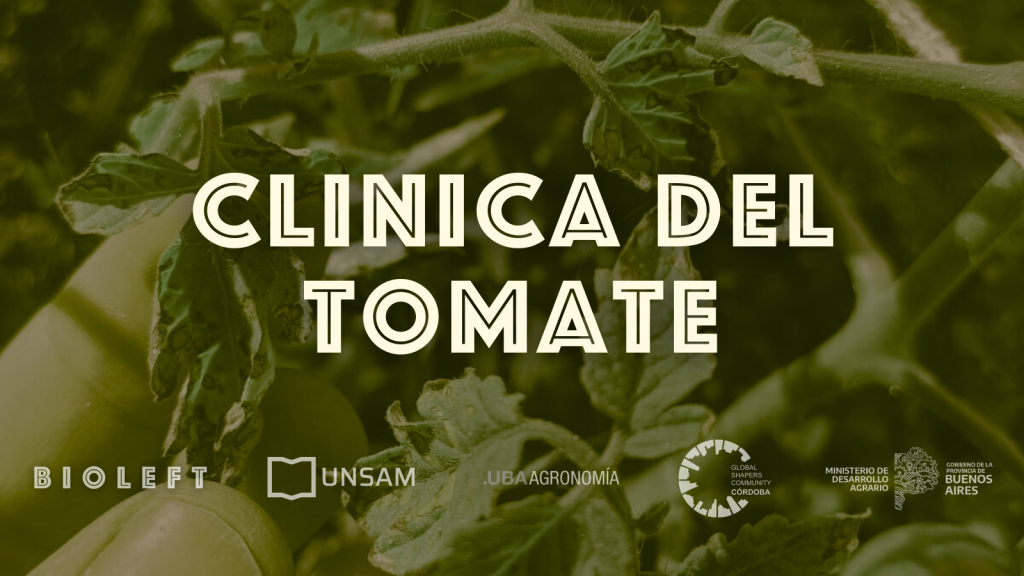 Clínica del Tomate: Un webinar para proteger nuestros cultivos