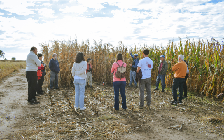 Encuentro en campo: experiencias y colaboración para el futuro del maíz