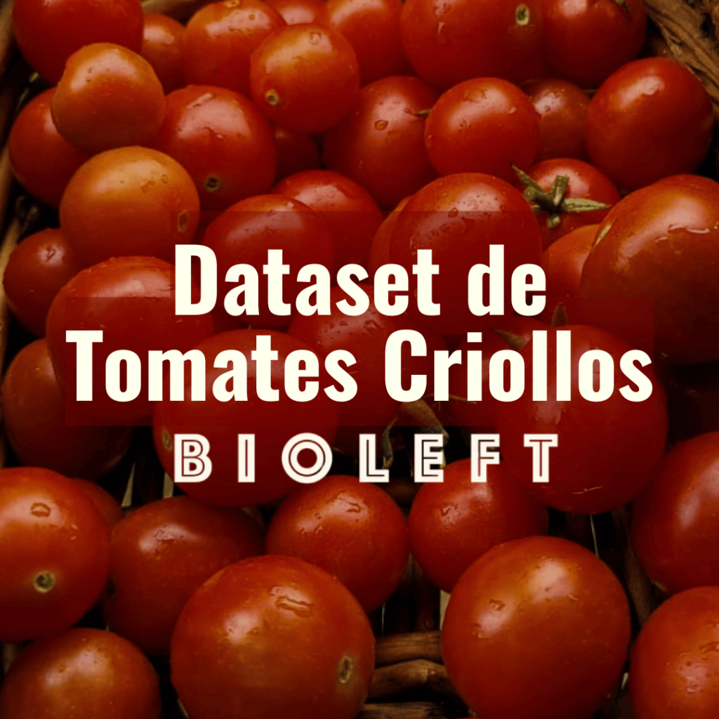¡Ya está disponible el dataset de tomates criollos! Cuatro años de trabajo en red, abiertos para la comunidad
