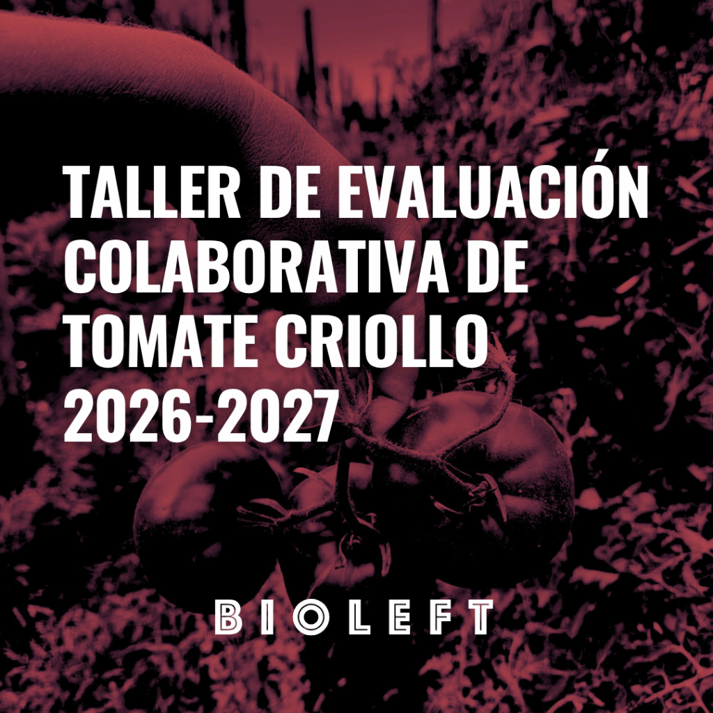 Lanzamiento de la nueva campaña de evaluación colaborativa de tomates 2026-2027