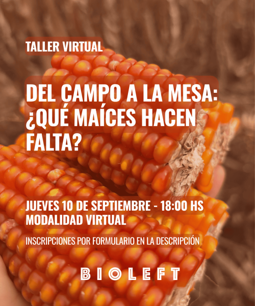 INVITACIÓN TALLER VIRTUAL (2) (1)